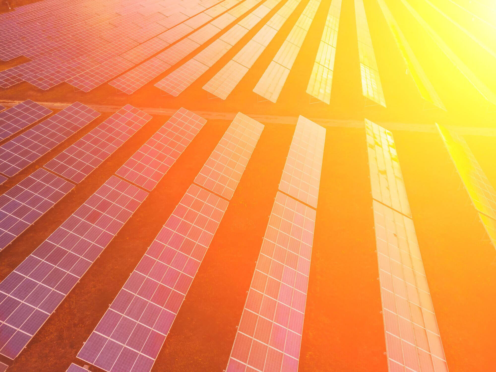 Suuri aurinkovoimala auringonlaskussa